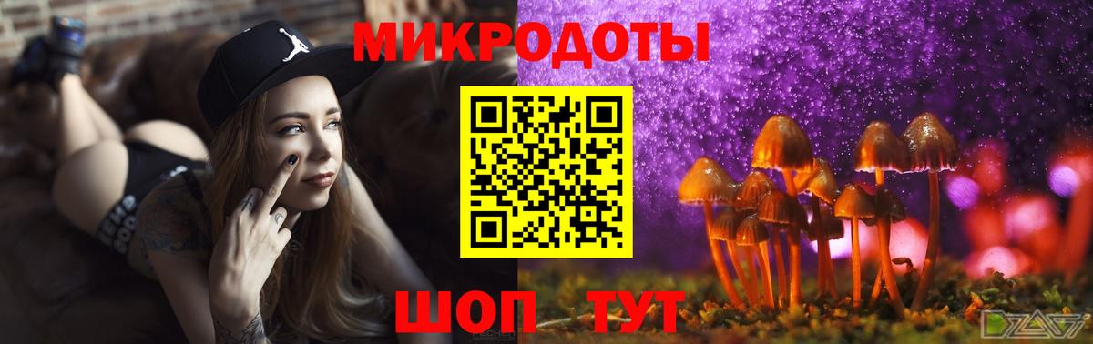 Псилоцибиновые грибы Psilocybe  купить   Рассказово  Вход с VPN 